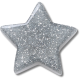 Glitter Filled Star